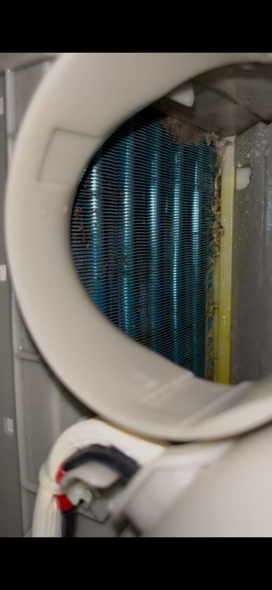東芝 TW-127X8BK 作業後 分解洗浄