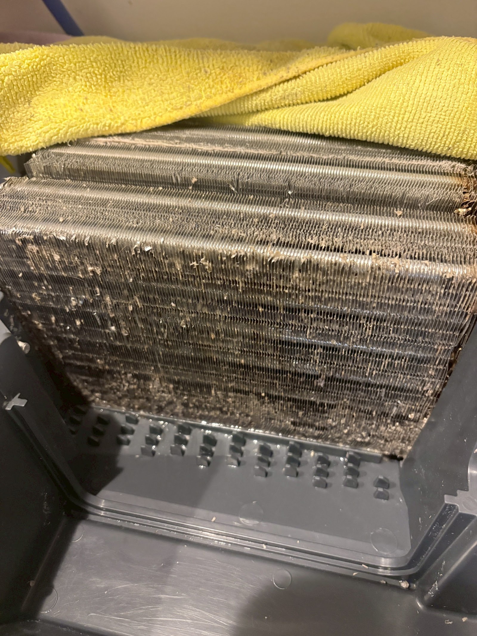作業後 ドラム式洗濯機 乾燥経路 清掃後