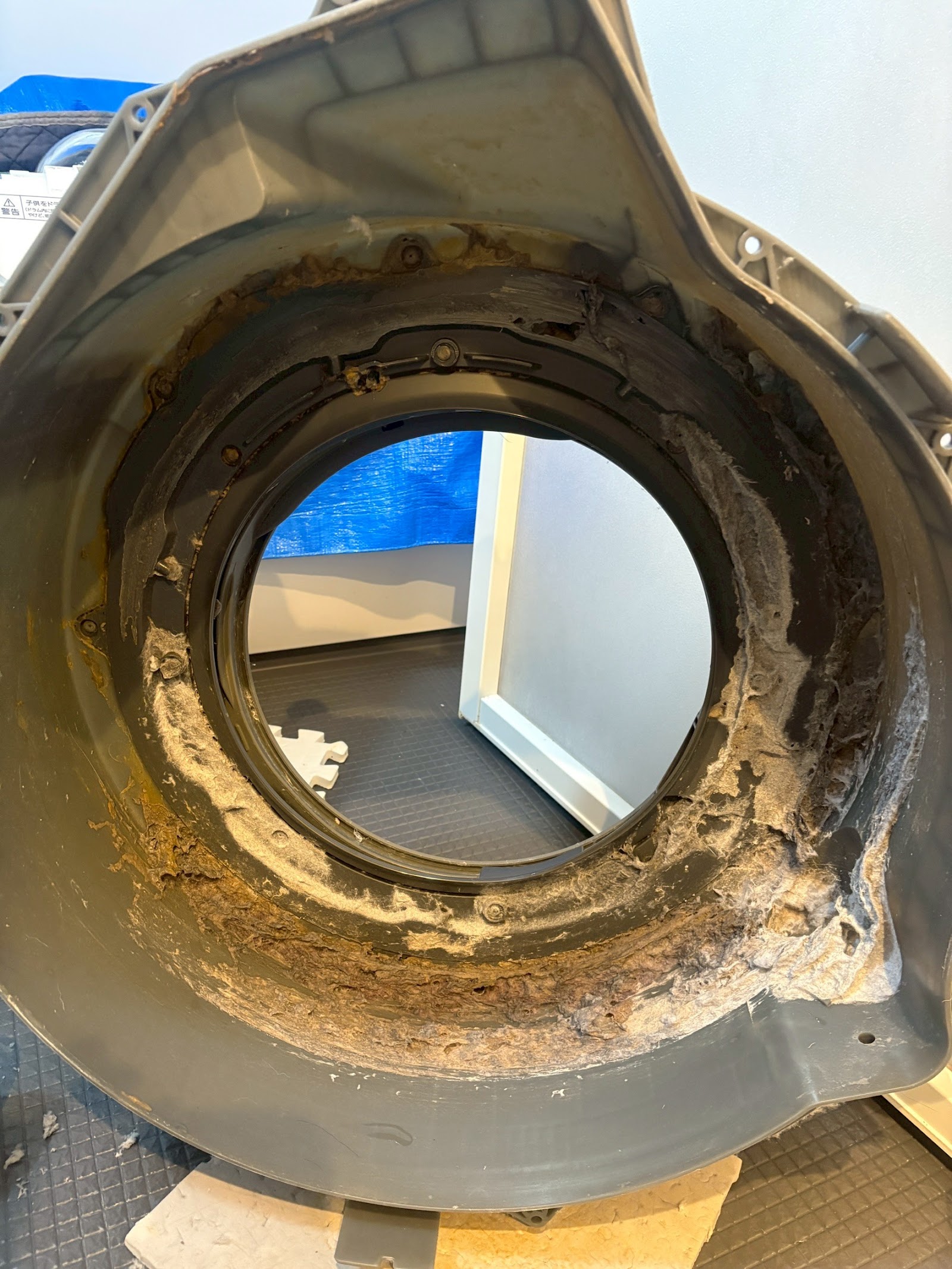 作業前 ドラム式洗濯機 乾燥フィルター周辺